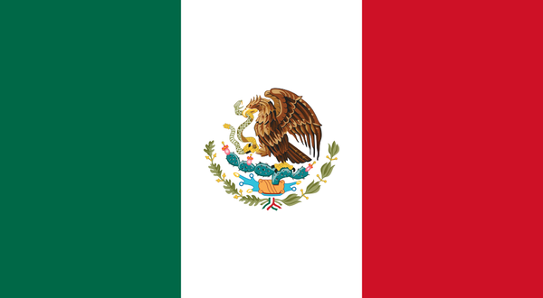 Video call focused on Mexican glass industry
