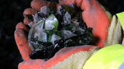Recresco and Knauf Insulation sign glass recycling agreement