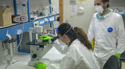 AGC Glass Europe develops glass coating to protect against Covid-19 contamination