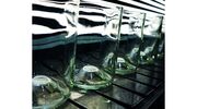 Libbey celebrates upcycled glass partnership