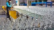 Sisecam secures $75 million IFC Covid-recovery loan