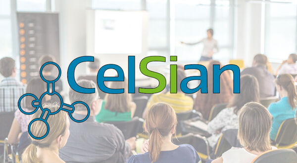 CelSian hosts refractory training course