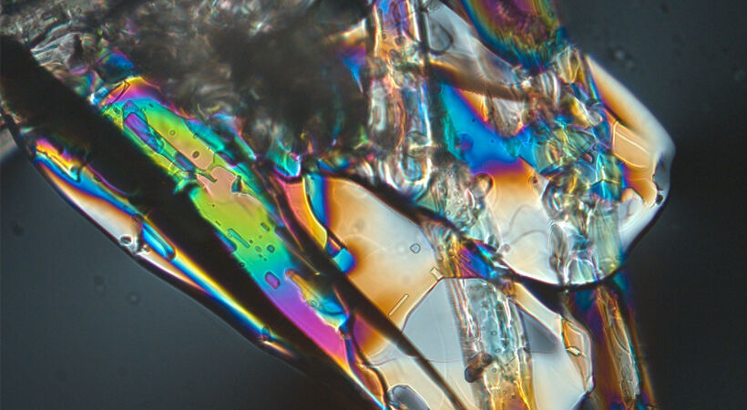 The courses will examine the root of glass defects and how to overcome them.