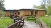 Pilkington’s AviSafe glass reduces bird collisions