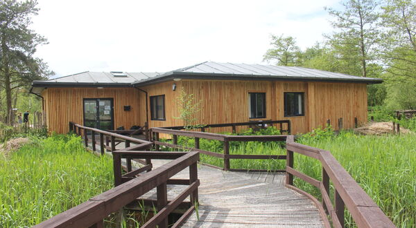 Pilkington’s AviSafe glass reduces bird collisions