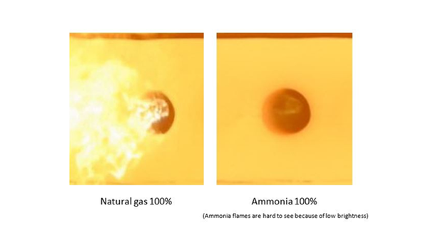 AGC reports successful use of ammonia in glass furnace