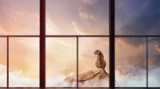 Pilkington UK launches glass with 50% less embodied carbon