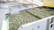 Sibelco acquires Strategic Materials glass recycling group
