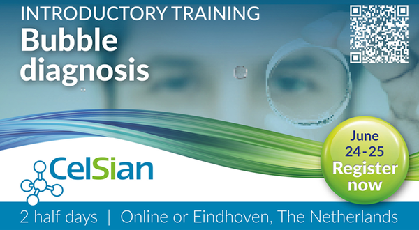 CelSian to host glass defects training course
