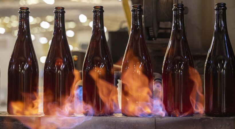 Sovereign has been specifically developed for the English and Welsh sparkling wine industry.