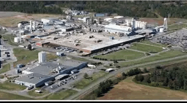 NEG suspends production at Shelby plant