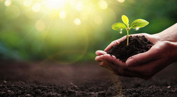 Gerresheimer publishes first voluntary sustainability report