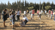 Verallia partners with project to regenerate area surrounding Seville and Cognac sites