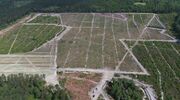 Construction of Arglass container glass plant set to start