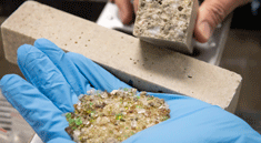 Research finds recycled glass can be used as substitute when creating polymer concrete