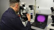 Yorkshire glass research ‘could revolutionise manufacturing’