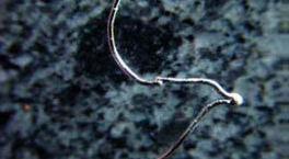 BASF launches next generation thermocouple