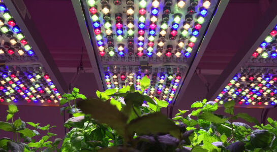 German glassmaker to sell its luminaires business