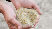 Strategic Materials triples production with new US facility
