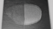 Metashield’s Nanoprint reduces fingerprint smudging by 70%